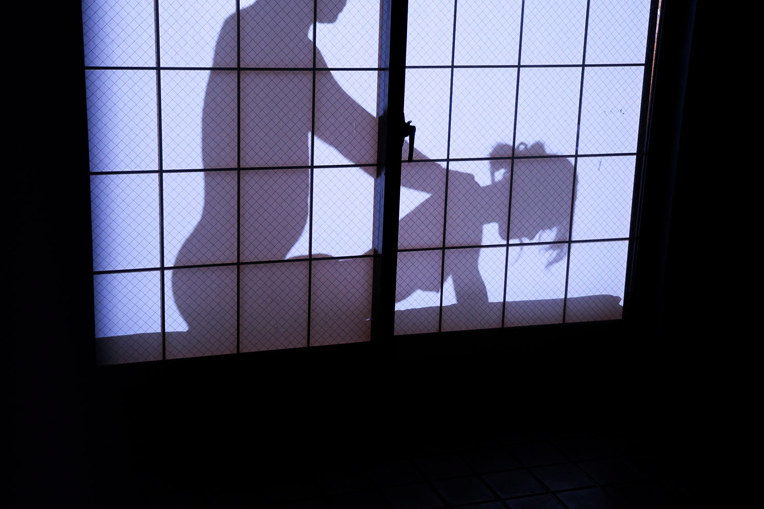 dvmm-353:サムネイル0004